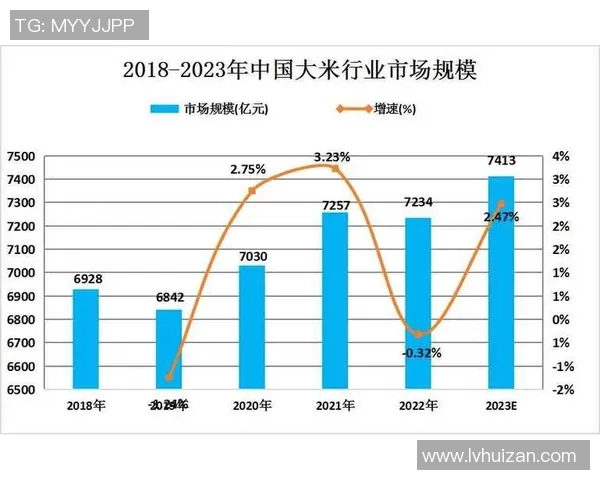南京排球队转换战术的得失分析与未来展望